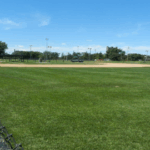 Sid Hartman All-Star Field